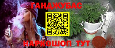 шишки Гусь-Хрустальный