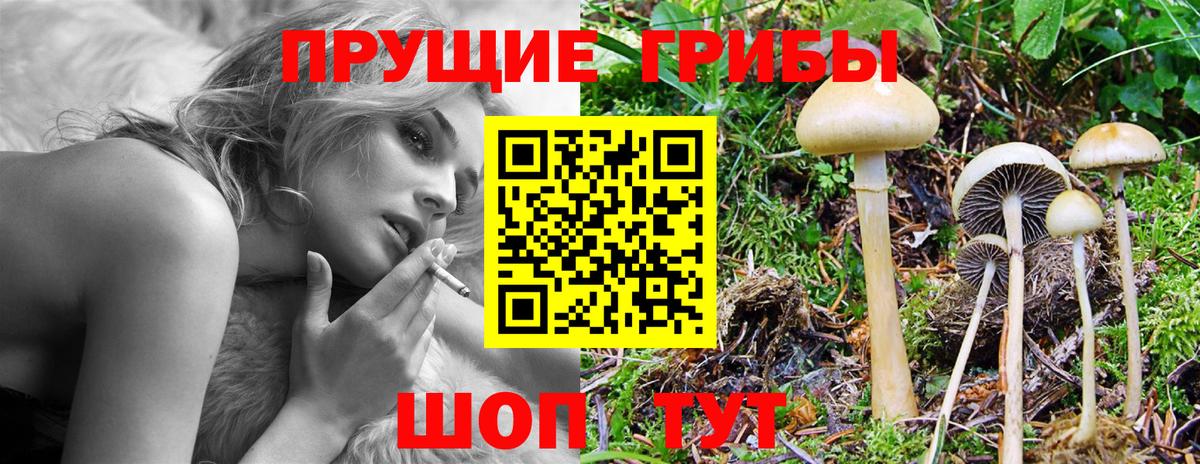 Нерюнгри  Галлюциногенные грибы GOLDEN TEACHER  Вход с VPN  Галлюциногенные грибы Magic Shrooms 